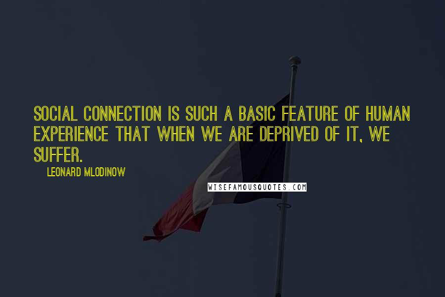 Leonard Mlodinow Quotes: Social connection is such a basic feature of human experience that when we are deprived of it, we suffer.