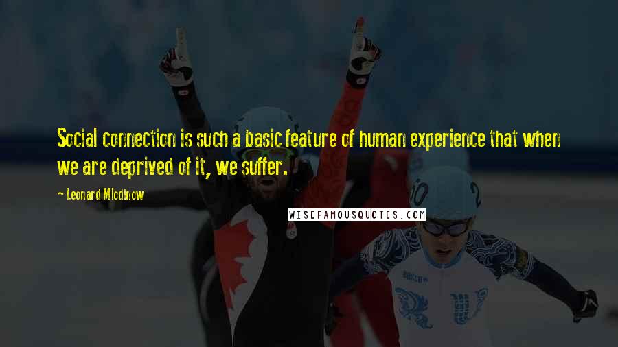 Leonard Mlodinow Quotes: Social connection is such a basic feature of human experience that when we are deprived of it, we suffer.