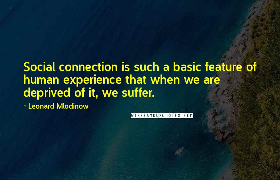 Leonard Mlodinow Quotes: Social connection is such a basic feature of human experience that when we are deprived of it, we suffer.