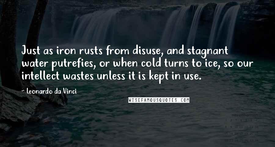 Leonardo Da Vinci Quotes: Just as iron rusts from disuse, and stagnant water putrefies, or when cold turns to ice, so our intellect wastes unless it is kept in use.