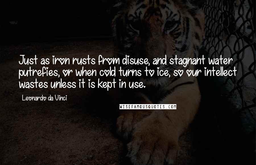 Leonardo Da Vinci Quotes: Just as iron rusts from disuse, and stagnant water putrefies, or when cold turns to ice, so our intellect wastes unless it is kept in use.