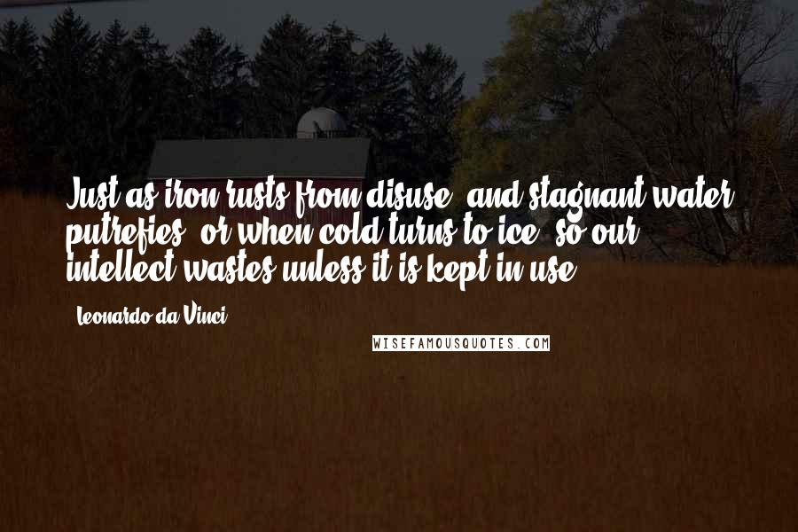 Leonardo Da Vinci Quotes: Just as iron rusts from disuse, and stagnant water putrefies, or when cold turns to ice, so our intellect wastes unless it is kept in use.