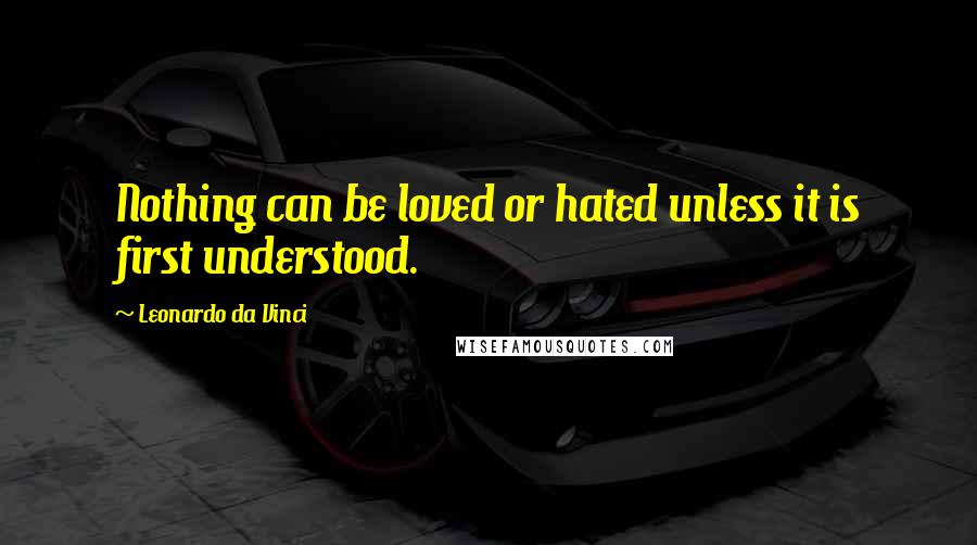 Leonardo Da Vinci Quotes: Nothing can be loved or hated unless it is first understood.