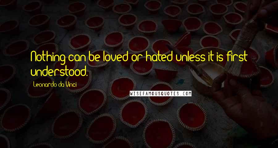 Leonardo Da Vinci Quotes: Nothing can be loved or hated unless it is first understood.