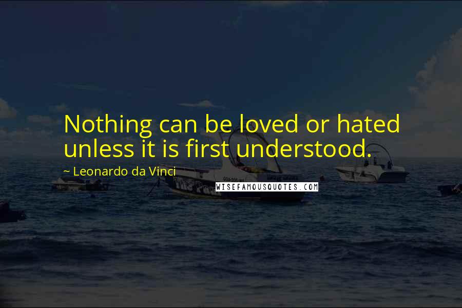Leonardo Da Vinci Quotes: Nothing can be loved or hated unless it is first understood.