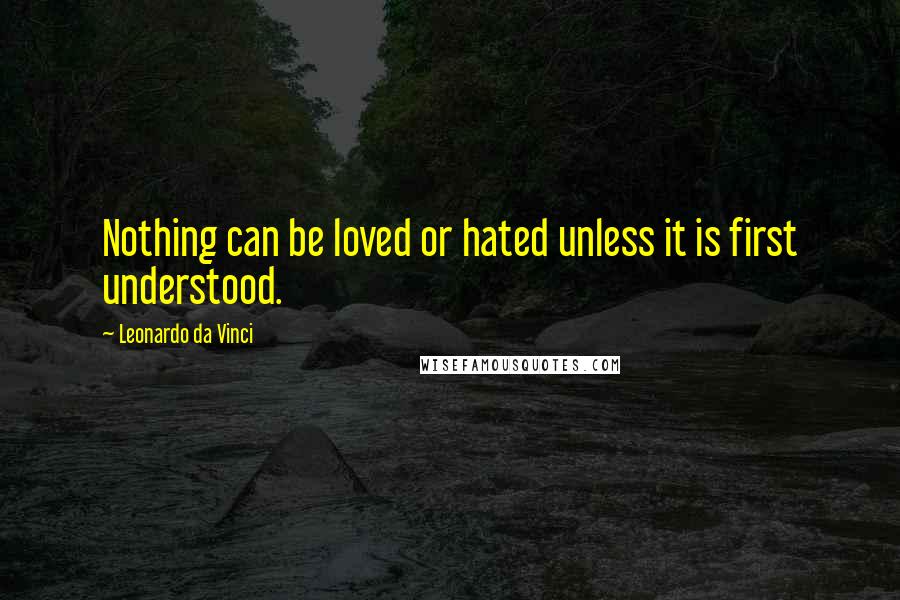 Leonardo Da Vinci Quotes: Nothing can be loved or hated unless it is first understood.