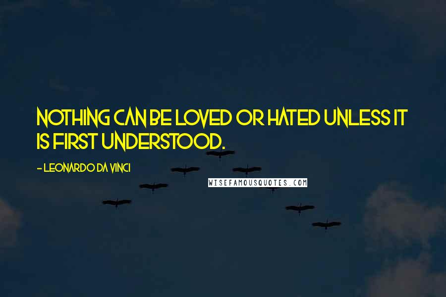 Leonardo Da Vinci Quotes: Nothing can be loved or hated unless it is first understood.