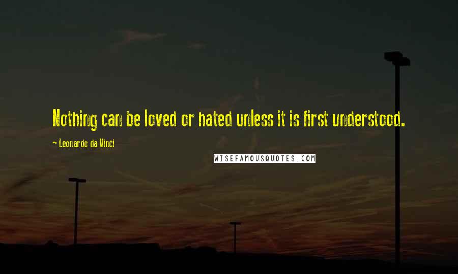 Leonardo Da Vinci Quotes: Nothing can be loved or hated unless it is first understood.