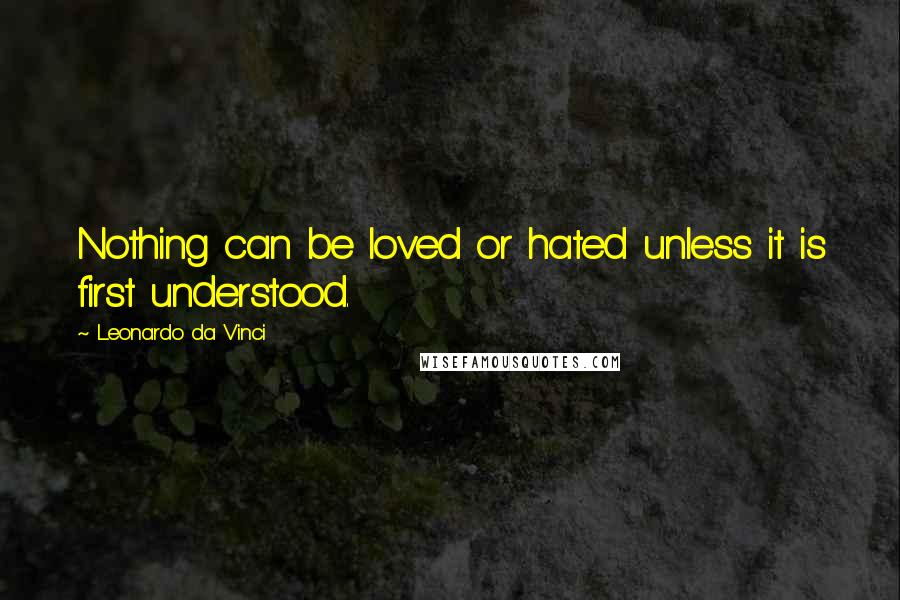 Leonardo Da Vinci Quotes: Nothing can be loved or hated unless it is first understood.