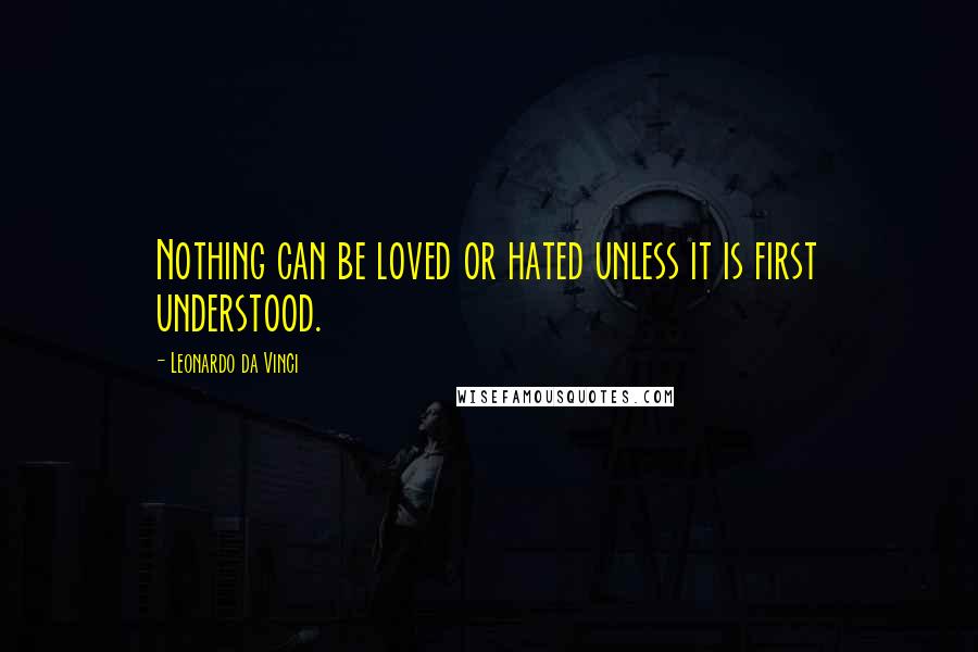 Leonardo Da Vinci Quotes: Nothing can be loved or hated unless it is first understood.