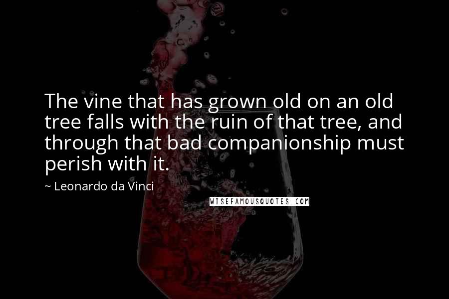 Leonardo Da Vinci Quotes: The vine that has grown old on an old tree falls with the ruin of that tree, and through that bad companionship must perish with it.