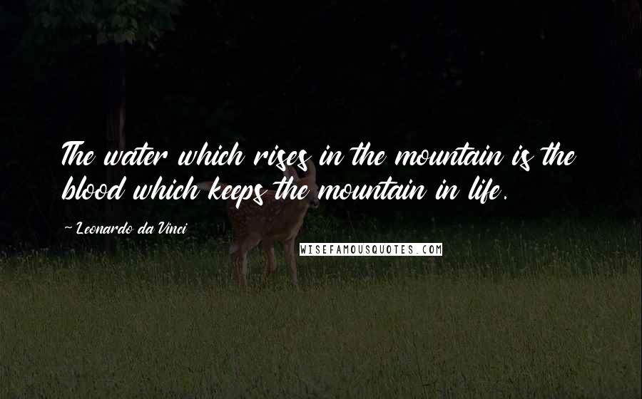 Leonardo Da Vinci Quotes: The water which rises in the mountain is the blood which keeps the mountain in life.