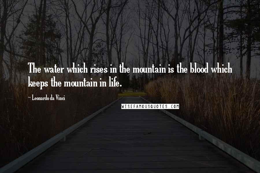 Leonardo Da Vinci Quotes: The water which rises in the mountain is the blood which keeps the mountain in life.