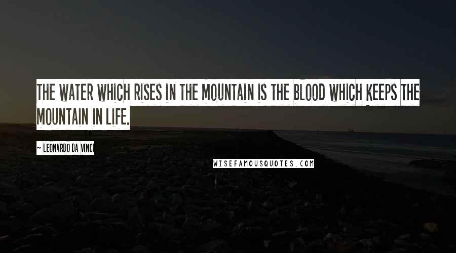 Leonardo Da Vinci Quotes: The water which rises in the mountain is the blood which keeps the mountain in life.