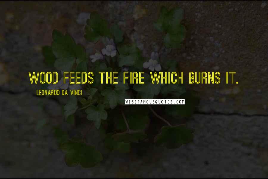 Leonardo Da Vinci Quotes: Wood feeds the fire which burns it.