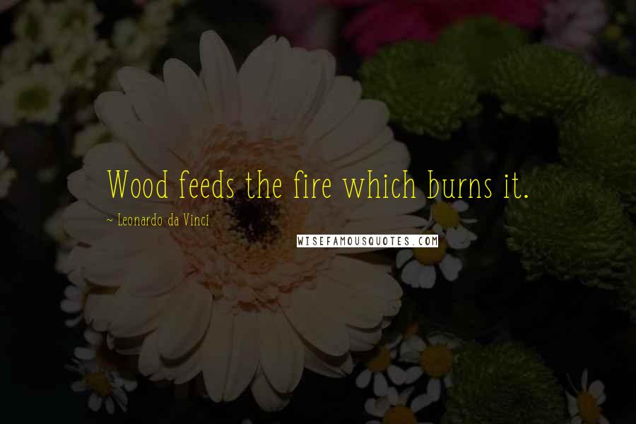 Leonardo Da Vinci Quotes: Wood feeds the fire which burns it.