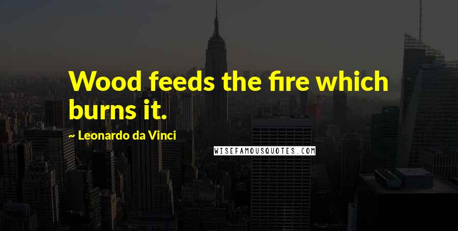 Leonardo Da Vinci Quotes: Wood feeds the fire which burns it.