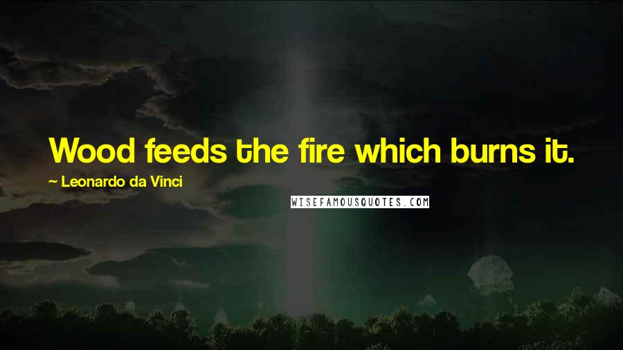 Leonardo Da Vinci Quotes: Wood feeds the fire which burns it.