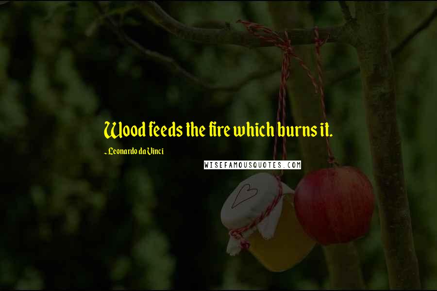Leonardo Da Vinci Quotes: Wood feeds the fire which burns it.