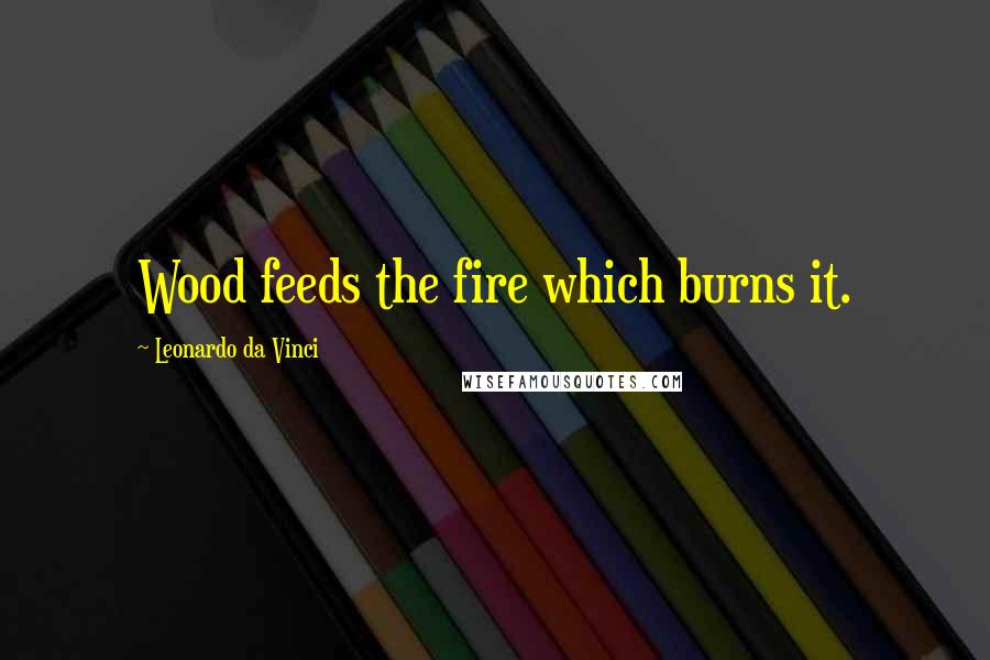 Leonardo Da Vinci Quotes: Wood feeds the fire which burns it.