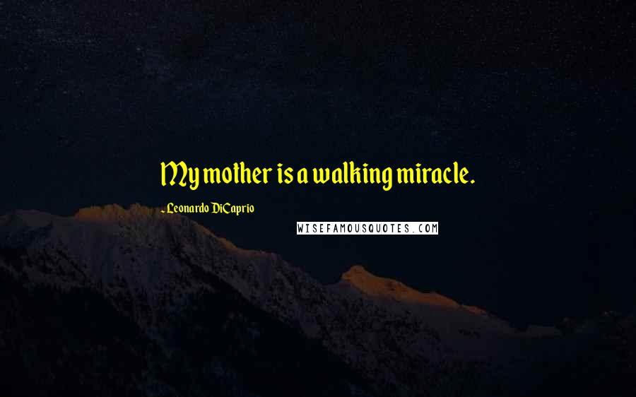 Leonardo DiCaprio Quotes: My mother is a walking miracle.