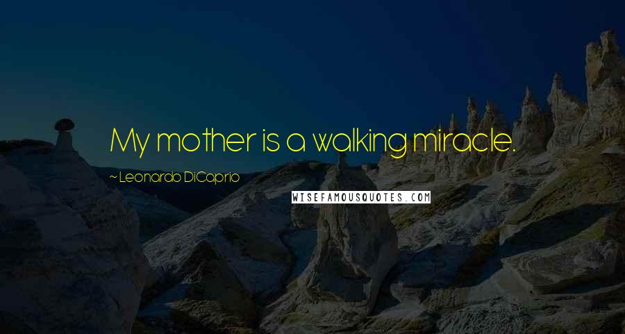 Leonardo DiCaprio Quotes: My mother is a walking miracle.