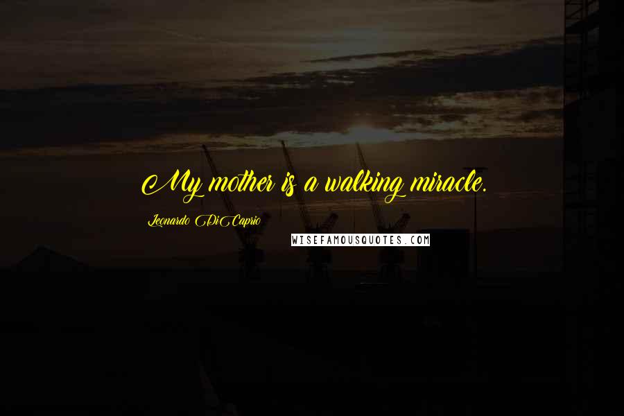 Leonardo DiCaprio Quotes: My mother is a walking miracle.