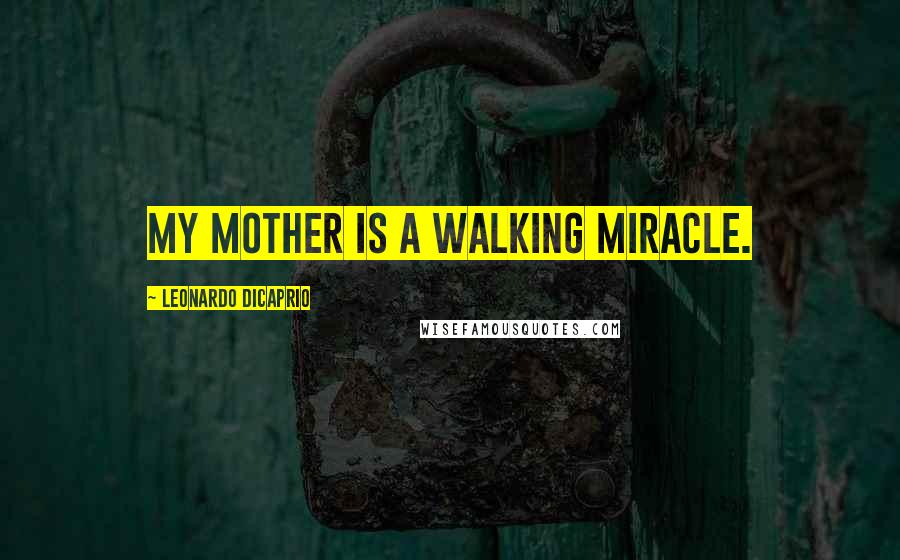 Leonardo DiCaprio Quotes: My mother is a walking miracle.
