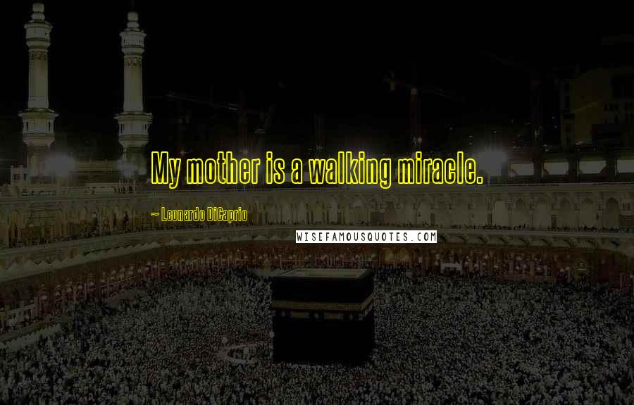 Leonardo DiCaprio Quotes: My mother is a walking miracle.