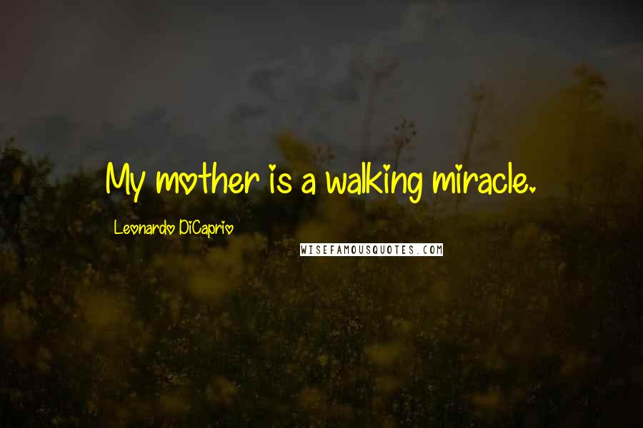 Leonardo DiCaprio Quotes: My mother is a walking miracle.