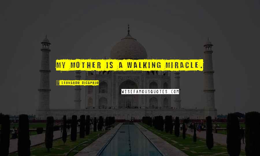 Leonardo DiCaprio Quotes: My mother is a walking miracle.