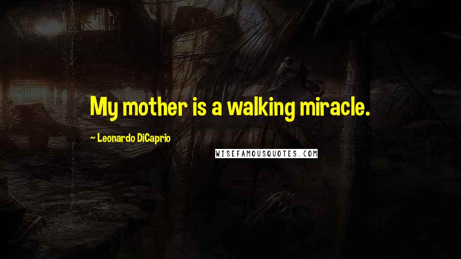 Leonardo DiCaprio Quotes: My mother is a walking miracle.