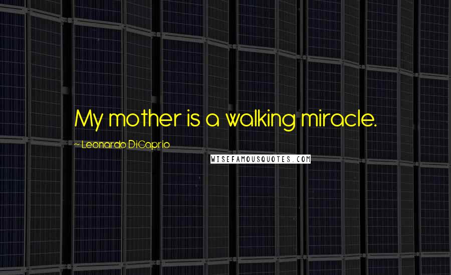 Leonardo DiCaprio Quotes: My mother is a walking miracle.