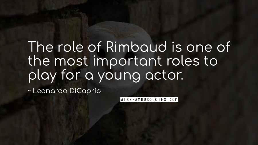 Leonardo DiCaprio Quotes: The role of Rimbaud is one of the most important roles to play for a young actor.