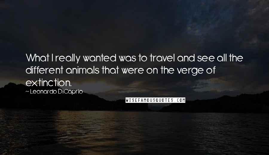 Leonardo DiCaprio Quotes: What I really wanted was to travel and see all the different animals that were on the verge of extinction.