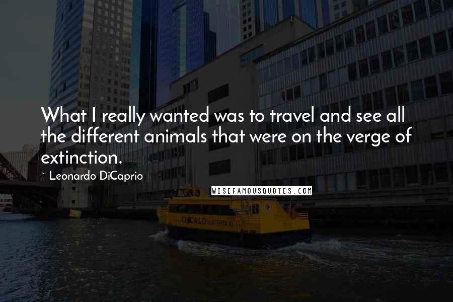 Leonardo DiCaprio Quotes: What I really wanted was to travel and see all the different animals that were on the verge of extinction.