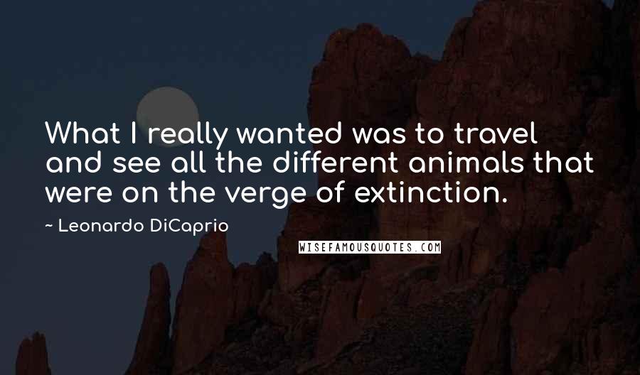 Leonardo DiCaprio Quotes: What I really wanted was to travel and see all the different animals that were on the verge of extinction.