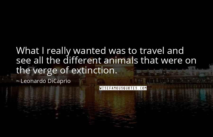 Leonardo DiCaprio Quotes: What I really wanted was to travel and see all the different animals that were on the verge of extinction.