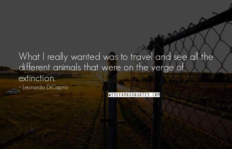 Leonardo DiCaprio Quotes: What I really wanted was to travel and see all the different animals that were on the verge of extinction.