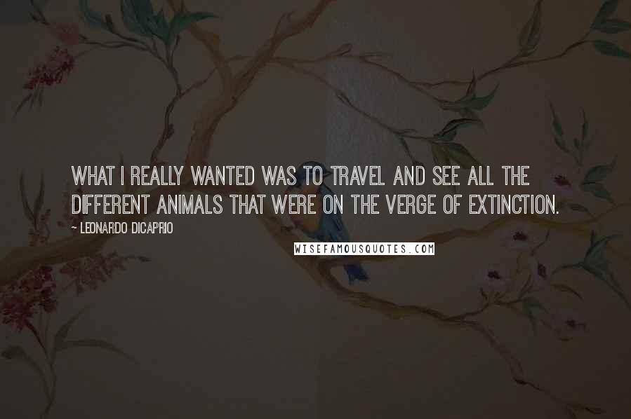 Leonardo DiCaprio Quotes: What I really wanted was to travel and see all the different animals that were on the verge of extinction.