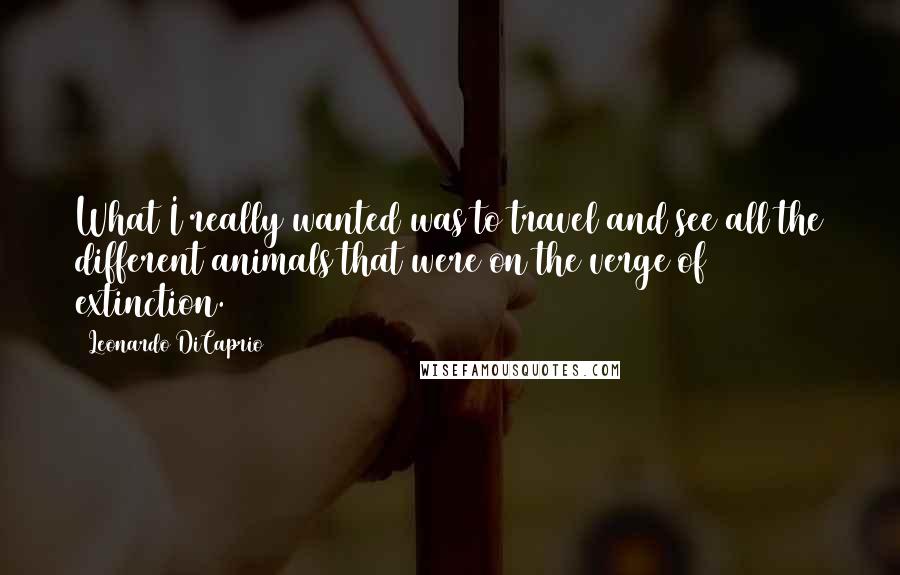 Leonardo DiCaprio Quotes: What I really wanted was to travel and see all the different animals that were on the verge of extinction.