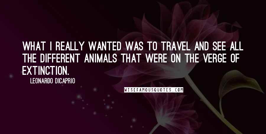 Leonardo DiCaprio Quotes: What I really wanted was to travel and see all the different animals that were on the verge of extinction.