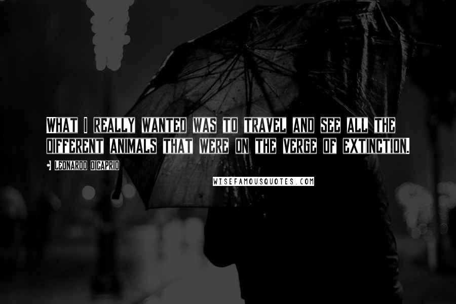 Leonardo DiCaprio Quotes: What I really wanted was to travel and see all the different animals that were on the verge of extinction.