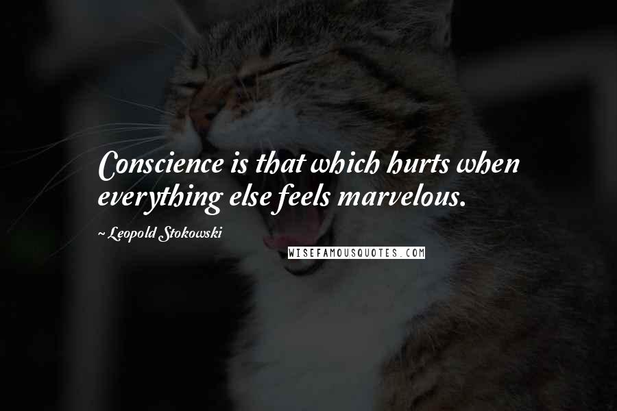 Leopold Stokowski Quotes: Conscience is that which hurts when everything else feels marvelous.