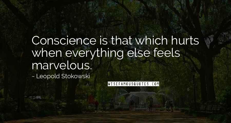 Leopold Stokowski Quotes: Conscience is that which hurts when everything else feels marvelous.