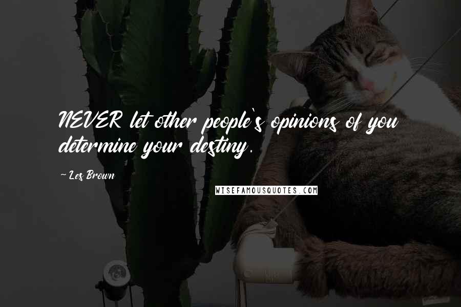 Les Brown Quotes: NEVER let other people's opinions of you determine your destiny.