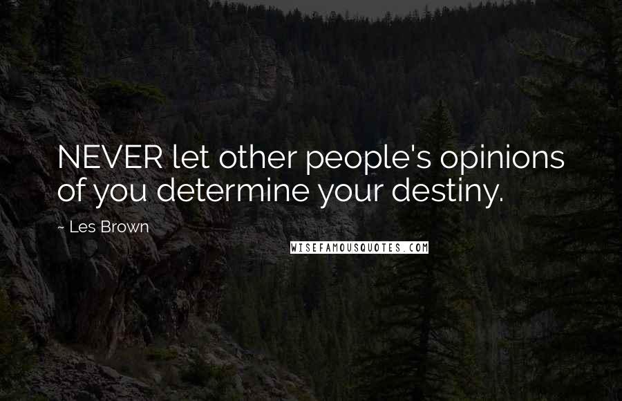 Les Brown Quotes: NEVER let other people's opinions of you determine your destiny.