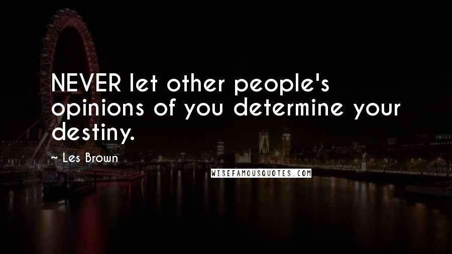 Les Brown Quotes: NEVER let other people's opinions of you determine your destiny.