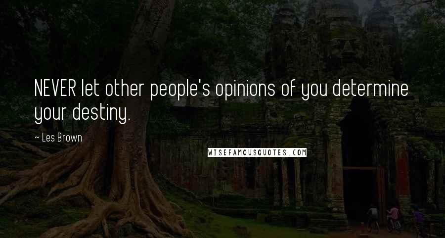Les Brown Quotes: NEVER let other people's opinions of you determine your destiny.