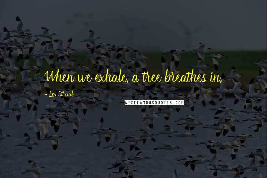 Les Stroud Quotes: When we exhale, a tree breathes in.